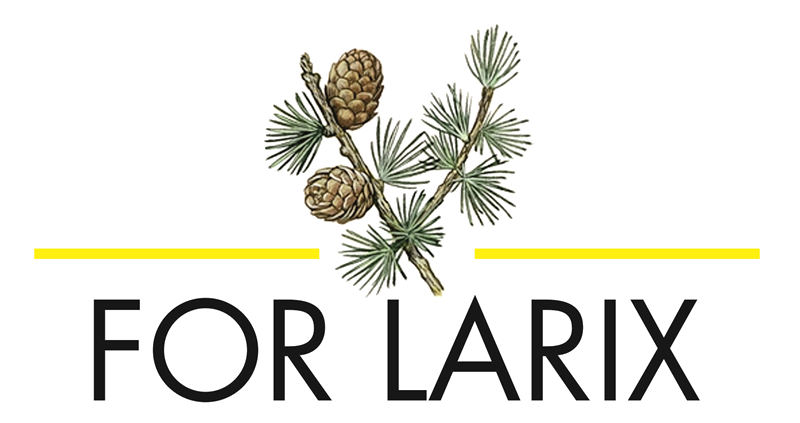 FOR – LARIX